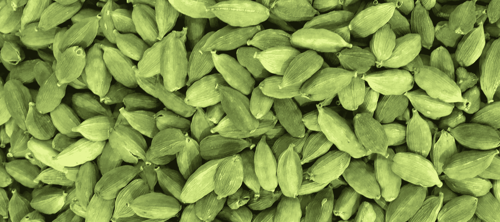 cardamo-online-price